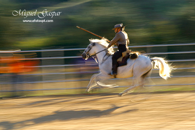 panning_campino.jpg