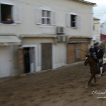 Azambuja - Feira de Maio - O Campino