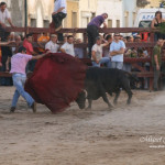 Azambuja - Feira de Maio - O Toureiro - 2009