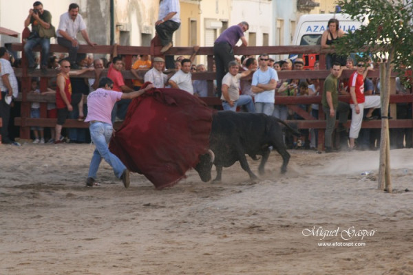 Azambuja - Feira de Maio - O Toureiro - 2009