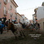 Corrida do cabresto - Feira de Maio 2010