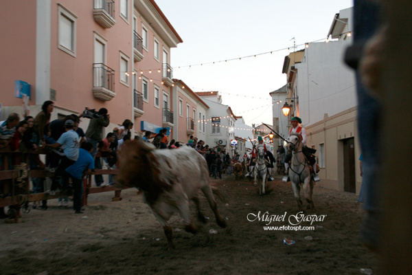 Corrida do cabresto - Feira de Maio 2010