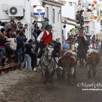 Efeito pintura - Feira de Maio 2010