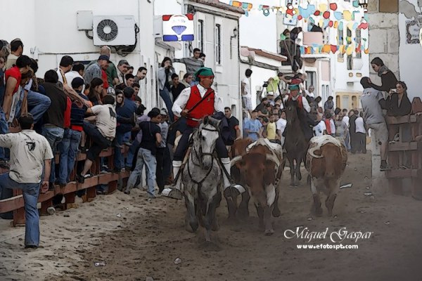 Efeito pintura - Feira de Maio 2010