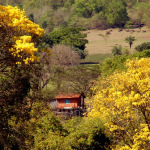 Pé da Serra