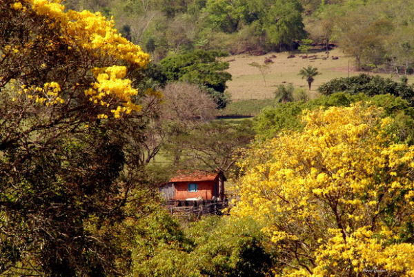 Pé da Serra